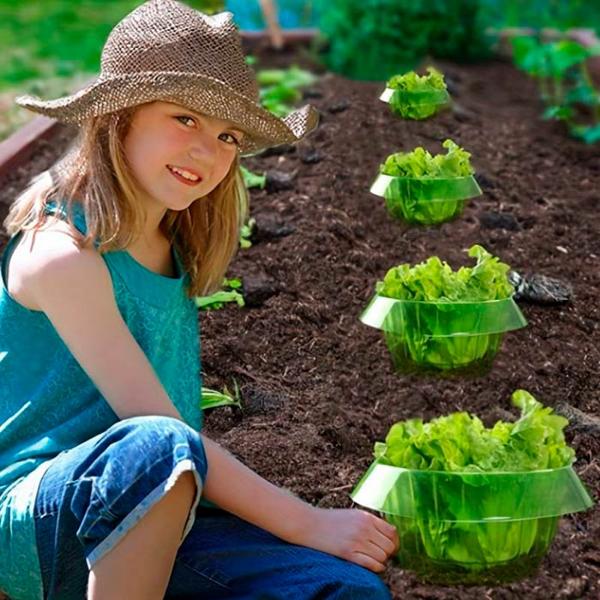 VEGISHIELD-GALLERY-IMG4-min