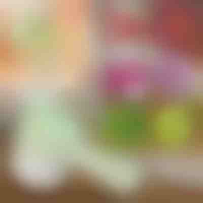 Tocător manual electric 4 în 1 | ROTOCHOP