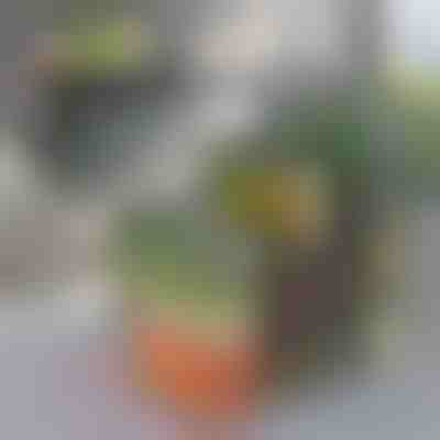 Recipient de depozitare pentru frigider | FRESHDISH