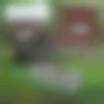 Unealtă multifuncțională pentru întreținerea solului în grădină | PRONGSPRO