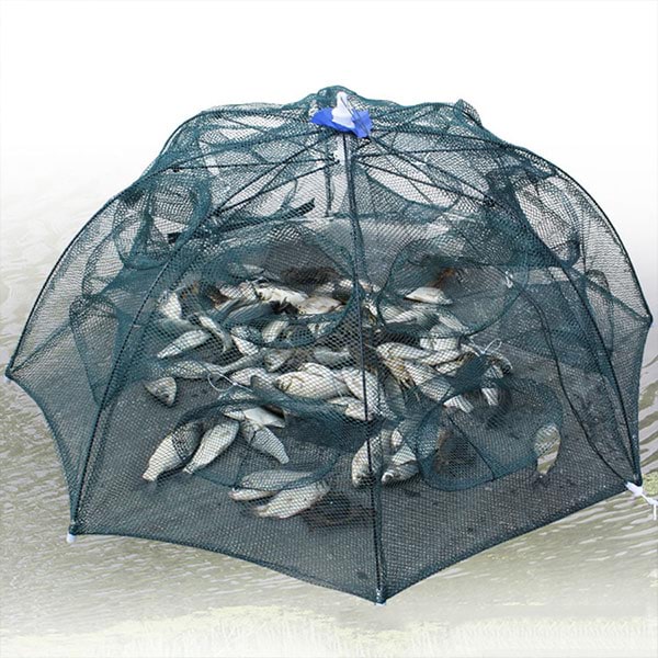 FISHTOR18200__0fdfa9db
