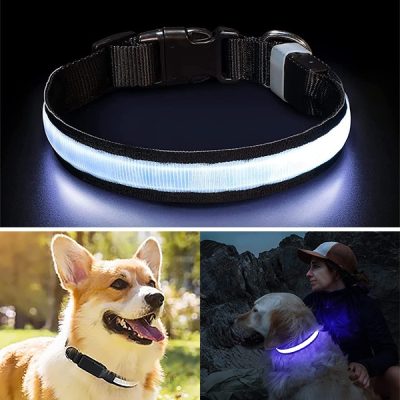 Zgarda pentru câini cu iluminare nocturnă | PETSHINE
